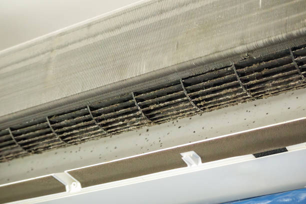 Best Ductwork Cleaning Services  in Dunn Loring, VA